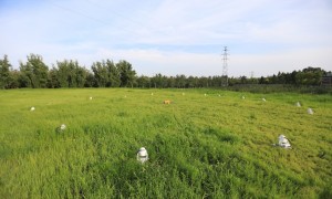 完善系统解决方案，助力实现“双碳”目标丨“创新100”走进普瑞亿科